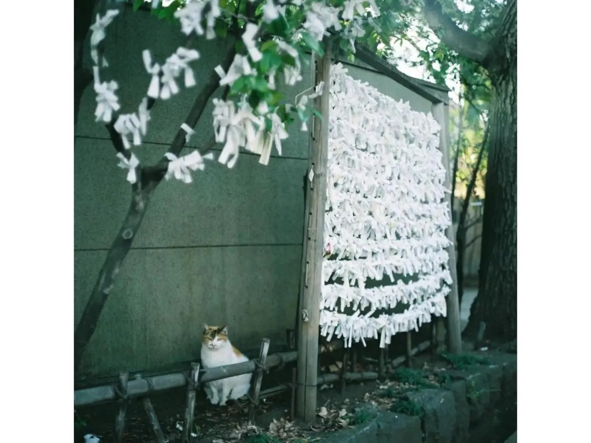 Apartment Forest House - Vacation Stay 44322V Tokyo